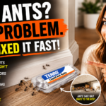 I Had Ants Invading My Kitchen for Three Weeks — Here’s the One Thing That Finally Worked 2026